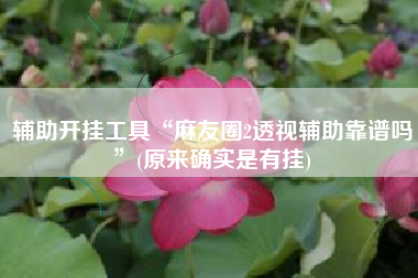 辅助开挂工具“麻友圈2透视辅助靠谱吗”(原来确实是有挂)