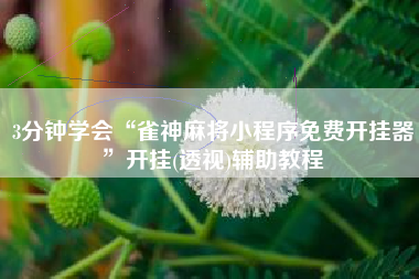 3分钟学会“雀神麻将小程序免费开挂器”开挂(透视)辅助教程