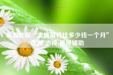 必看教程“大唐麻将挂多少钱一个月	”作弊(透视)透视辅助