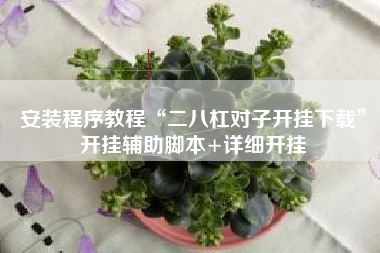 安装程序教程“二八杠对子开挂下载”开挂辅助脚本+详细开挂