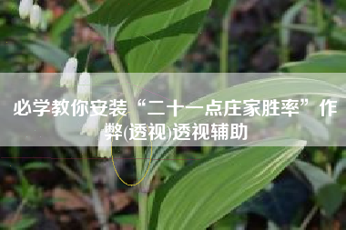必学教你安装“二十一点庄家胜率”作弊(透视)透视辅助