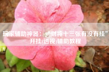 玩家辅助神器：“财神十三张有没有挂	”开挂(透视)辅助教程
