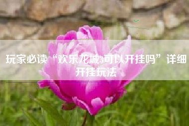 玩家必读“欢乐龙城3可以开挂吗	”详细开挂玩法