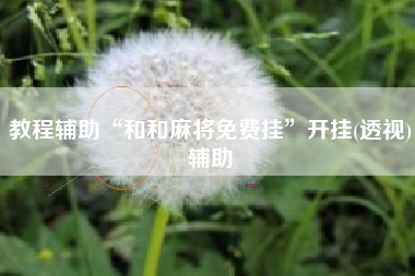 教程辅助“和和麻将免费挂”开挂(透视)辅助