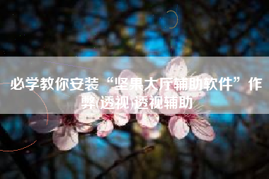 必学教你安装“坚果大厅辅助软件”作弊(透视)透视辅助