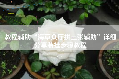 教程辅助“海草众厅拼三张辅助”详细分享装挂步骤教程