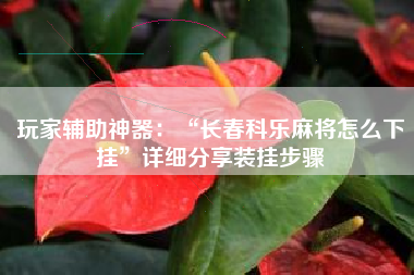 玩家辅助神器：“长春科乐麻将怎么下挂”详细分享装挂步骤