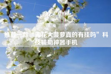 推荐一款“蒲花大菠萝真的有挂吗”科技辅助神器手机