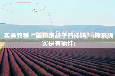 实操教程“喜扣跑胡子有挂吗”(原来确实是有插件)