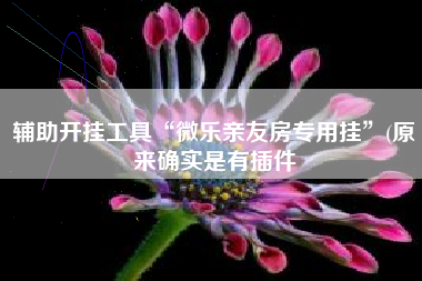 辅助开挂工具“微乐亲友房专用挂	”(原来确实是有插件