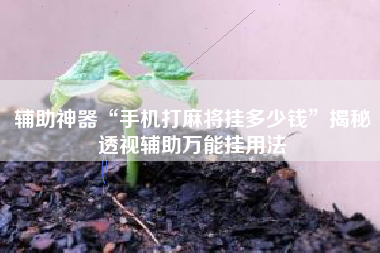 辅助神器“手机打麻将挂多少钱”揭秘透视辅助万能挂用法