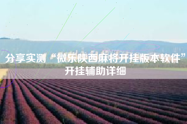 分享实测“微乐陕西麻将开挂版本软件”开挂辅助详细