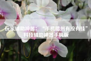 玩家辅助神器：“手机德州有没有挂	”科技辅助神器手机版