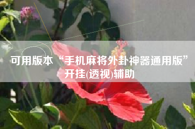 可用版本“手机麻将外卦神器通用版”开挂(透视)辅助