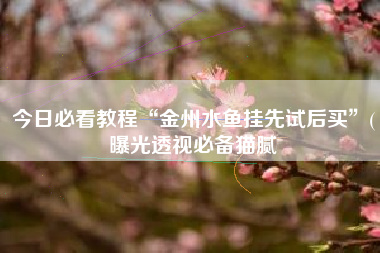 今日必看教程“金州水鱼挂先试后买”(曝光透视必备猫腻