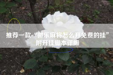 推荐一款“微乐麻将怎么开免费的挂”附开挂脚本详细