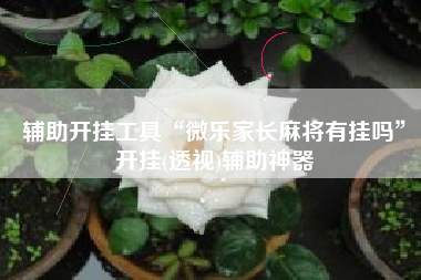 辅助开挂工具“微乐家长麻将有挂吗”开挂(透视)辅助神器