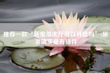 推荐一款“新蜜瓜大厅可以开挂吗”(原来确实是有插件