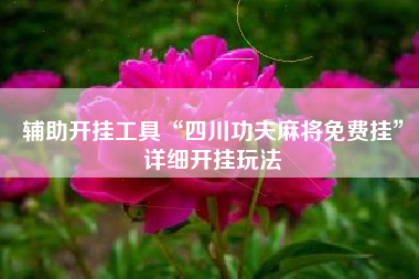 辅助开挂工具“四川功夫麻将免费挂”详细开挂玩法