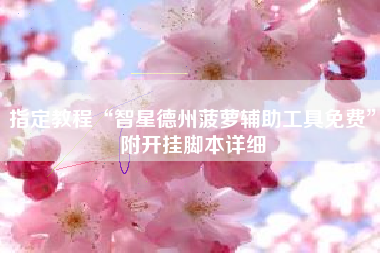 指定教程“智星德州菠萝辅助工具免费”附开挂脚本详细