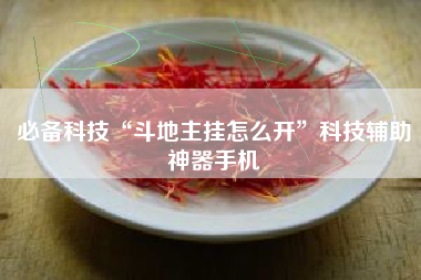 必备科技“斗地主挂怎么开”科技辅助神器手机