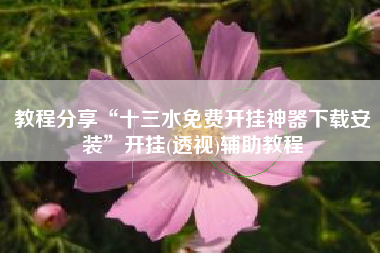 教程分享“十三水免费开挂神器下载安装”开挂(透视)辅助教程