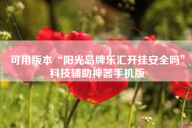 可用版本“阳光岛牌乐汇开挂安全吗	”科技辅助神器手机版