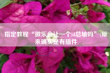 指定教程“微乐会让一个id总输吗	”(原来确实是有插件