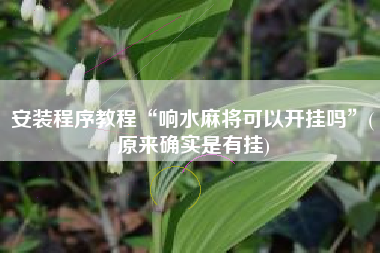 安装程序教程“响水麻将可以开挂吗”(原来确实是有挂)