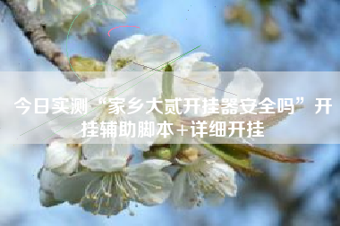 今日实测“家乡大贰开挂器安全吗”开挂辅助脚本+详细开挂