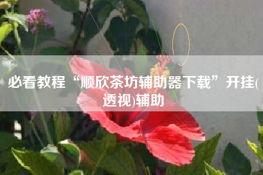 必看教程“顺欣茶坊辅助器下载	”开挂(透视)辅助