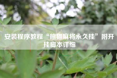 安装程序教程“熊猫麻将永久挂”附开挂脚本详细
