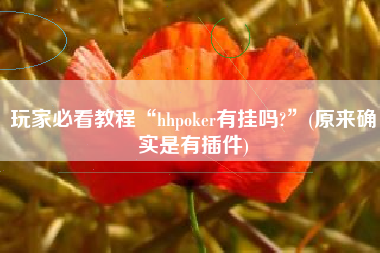 玩家必看教程“hhpoker有挂吗?”(原来确实是有插件)