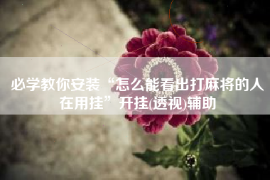 必学教你安装“怎么能看出打麻将的人在用挂”开挂(透视)辅助