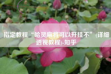 指定教程“哈灵麻将可以开挂不”(详细透视教程)-知乎