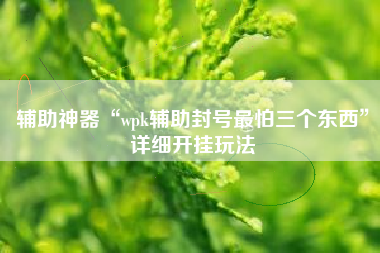 辅助神器“wpk辅助封号最怕三个东西	”详细开挂玩法