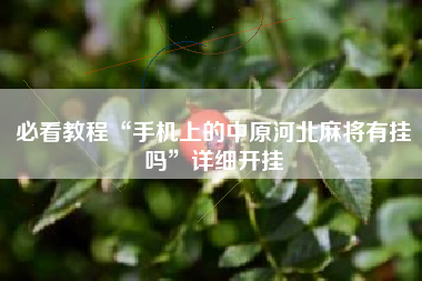 必看教程“手机上的中原河北麻将有挂吗”详细开挂