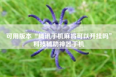 可用版本“腾讯手机麻将可以开挂吗”科技辅助神器手机