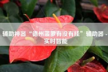 辅助神器“德州菠萝有没有挂	”辅助器 - 实时智能