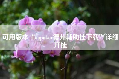 可用版本“aapoker德州辅助挂下载”详细开挂