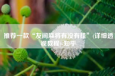 推荐一款“友间麻将有没有挂	”(详细透视教程)-知乎