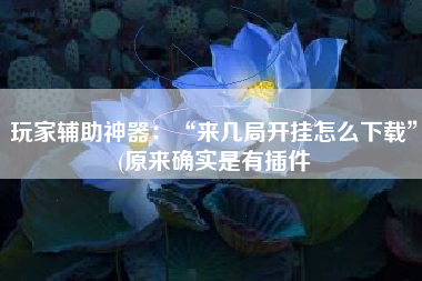 玩家辅助神器：“来几局开挂怎么下载”(原来确实是有插件