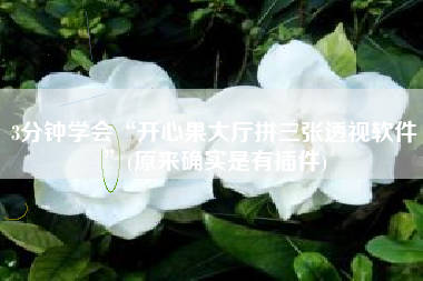 3分钟学会“开心果大厅拼三张透视软件”(原来确实是有插件)