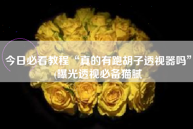 今日必看教程“真的有跑胡子透视器吗	”(曝光透视必备猫腻