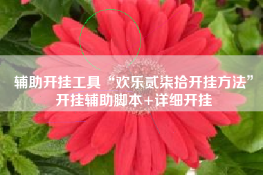 辅助开挂工具“欢乐贰柒拾开挂方法	”开挂辅助脚本+详细开挂