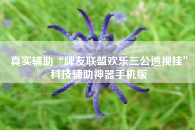 真实辅助“牌友联盟欢乐三公透视挂	”科技辅助神器手机版