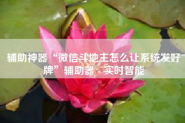 辅助神器“微信斗地主怎么让系统发好牌”辅助器 - 实时智能