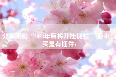 分享实测“2023年麻将开挂视频”(原来确实是有插件)