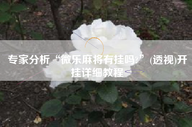 专家分析“微乐麻将有挂吗?	”(透视)开挂详细教程