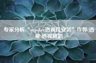 专家分析“wepoker透视挂安装	”作弊(透视)透视辅助